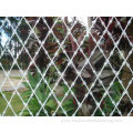 Welded razor wire fence